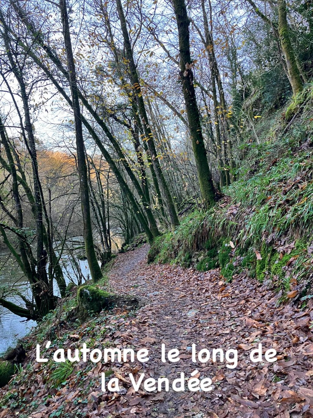 L’automne le long de la Vendée 