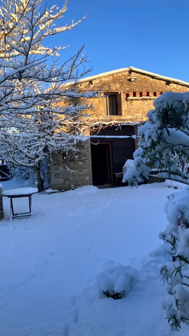 Année exceptionnelle il a neigé 15 cm sur les gîtes, les oiseaux picorent a gogo dans la mangeoire et nous on reste au chaud #vendee #nature #gites #neige#mervent
