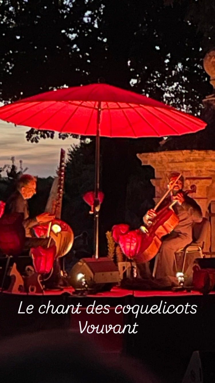 Dans le cadre des Ricochets en Territoire : « le chant des Coquelicots « à Vouvant, superbe animation lumino-poétique#gites LaCroixLiaud #VendeeTourisme #SudVendée #maraispoitevin#vouvant