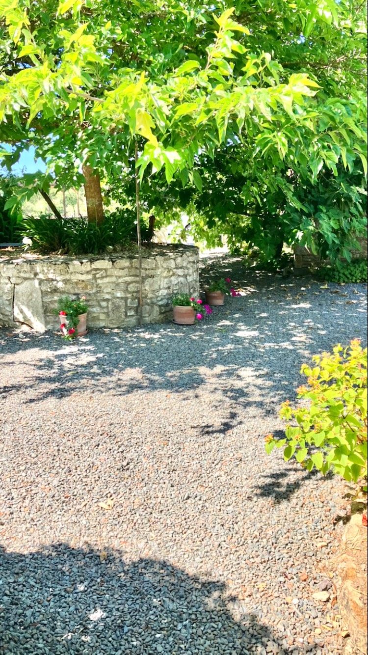 On est prêt à vous accueillir dans les gîtes de la Croix Liaud : piscine, terrasses ombragées, fleurs et leurs butineuses, fruits à cueillir ; venez passer un moment calme dans notre belle région : la Vendée #LaCroixLiaud #VendeeTourisme #SudVendée #maraispoitevin#piscine