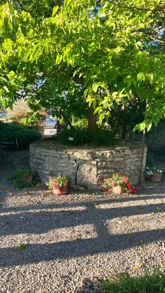 Fin d’été début d’automne avec ses magnifiques fleurs de saison bye-bye la canicule la rosée donne de la fraîcheur #gites LaCroixLiaud #vendeetourisme #jardin
