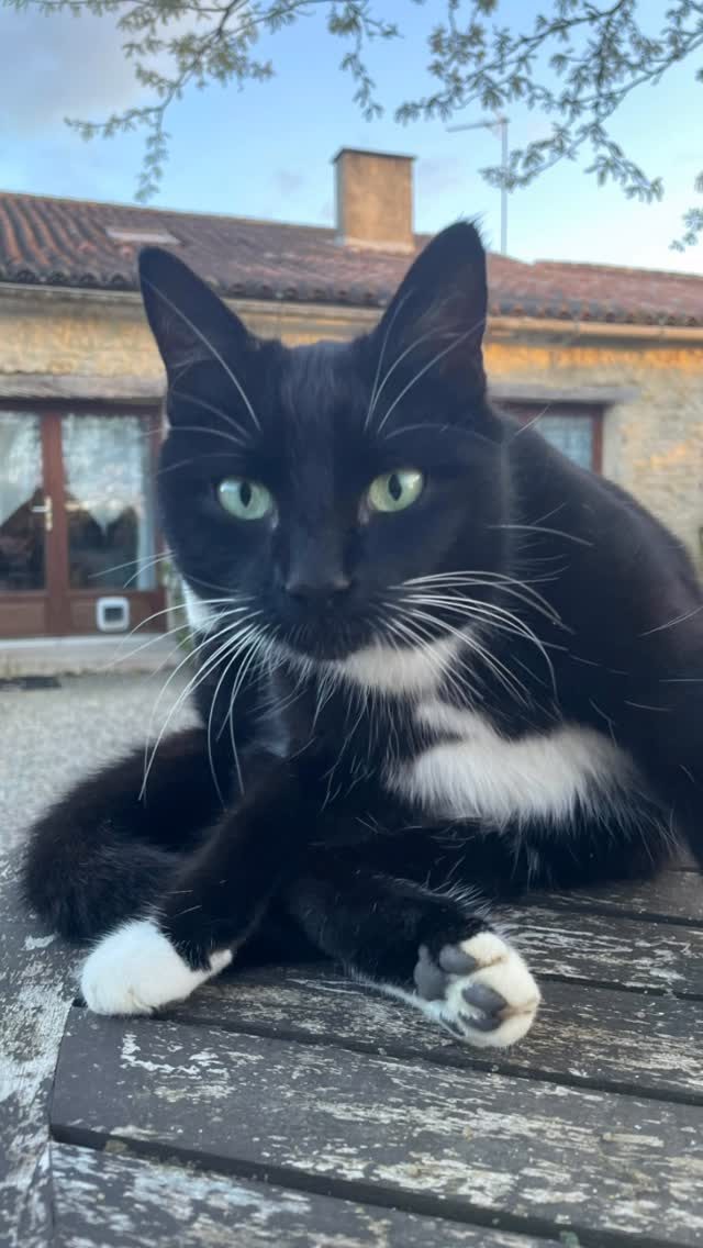 Lumière et sérénité, bref, un coucher de soleil comme les autres #LaCroixLiaud #VendeeTourisme #SudVendée #maraispoitevin #coucherdesoleil