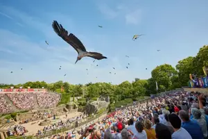 La Croix Liaud - Tourisme et activités en Vendée Marais poitevin - Le Puy du Fou, Le Bal des Oiseaux
