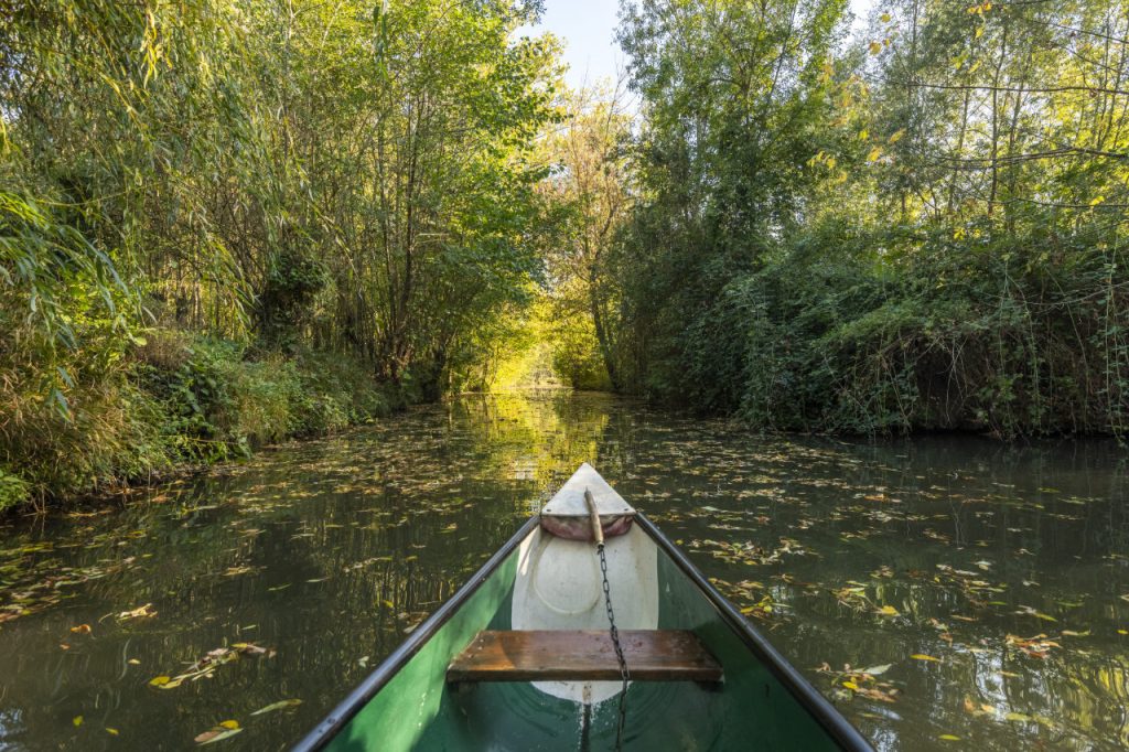 Balade en barque sur les canaux du Marais Poitevin, la Venise verte, à 25 minutes des gîtes