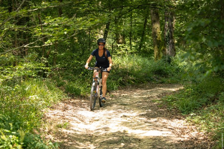 La Croix Liaud - Tourisme et activités en Vendée Marais poitevin