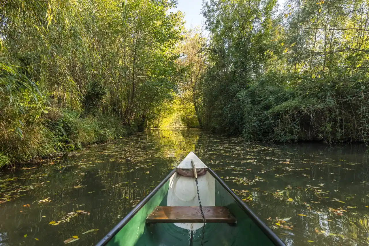 Balade en barque sur les canaux du Marais poitevin, la Venise verte, à 25 minutes des gîtes