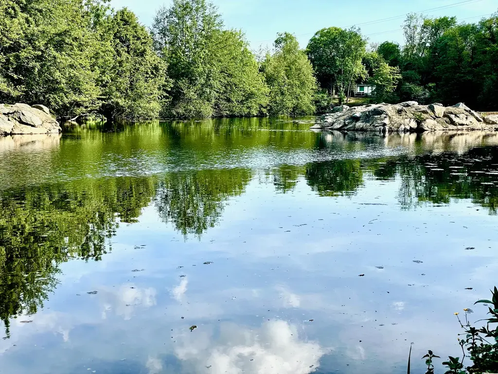 Rivière et rochers de granite dans la forêt de Mervent, à 10 minutes des gîtes